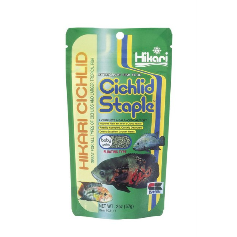 Hikari cichlid staple baby